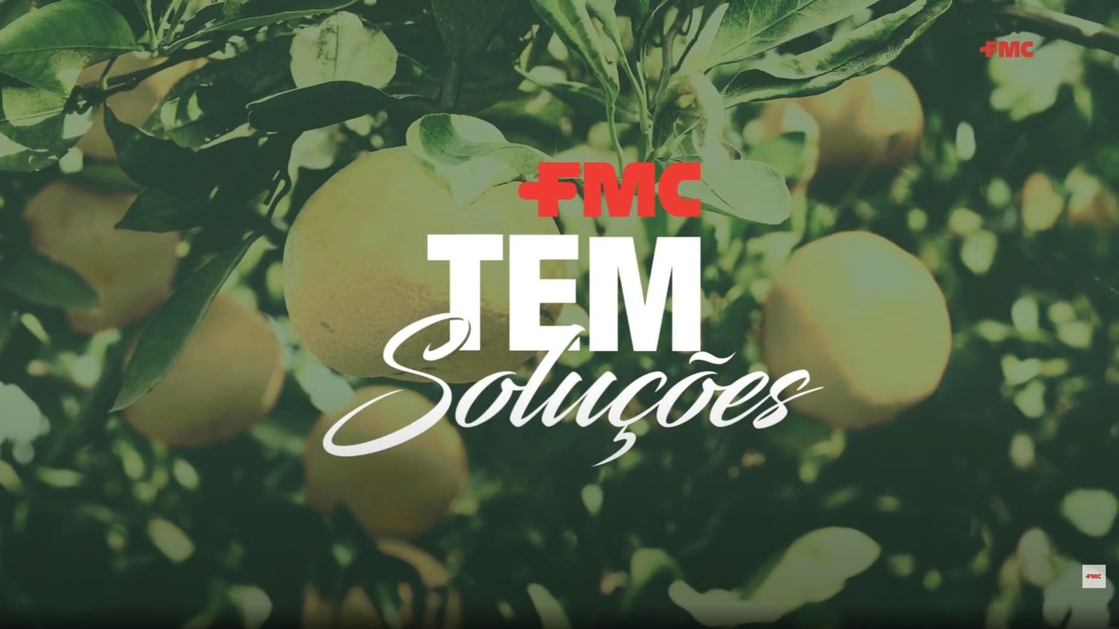 EXPOCITROS - divulgacoes - FMC b